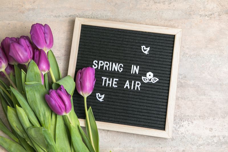 Text Frühling in der Luft auf Briefbrett und Blumenstrauß aus lila Tulpen. Konzept Frühlingsm...