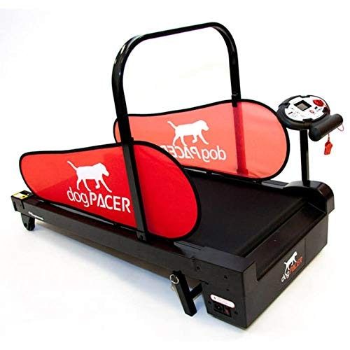 dogPACER Minipacer Laufband