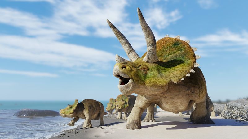 Triceratops Horridus-Gruppe, Herde von Dinosauriern, die den Strand genießen (3D-Rendering)